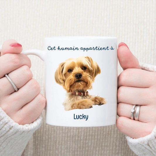 Petit 11 · Mug personnalisé ▪ Photo Chien Chat Cet humain appartient à mug-humour, mug-cremaillere, mug-anniversaire, mug-multi-occasions, mug-animaux, mug-personnalise-noel, mug-nouvel-an- -1